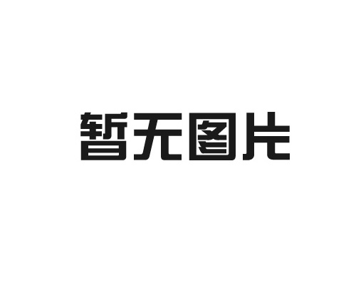 屯昌县PTK-6312手表式双键无线报警按钮